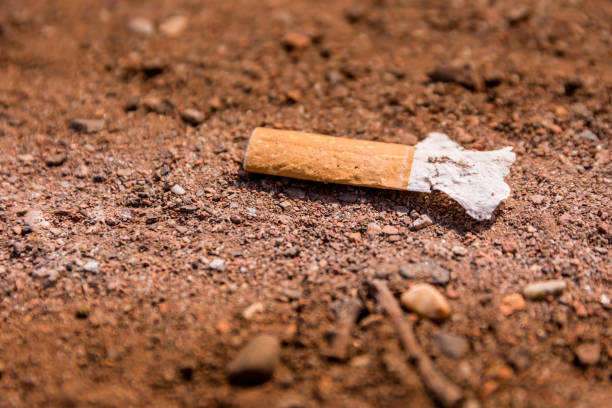 cigarettes stub on the ground stock photo