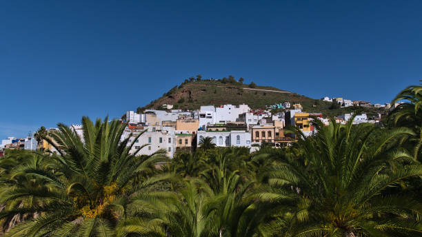 View of characteristic residential buildings in town Arucas in the north of Gran Canaria, Canary Islands, Spain on sunny day with hill and green palm trees in front. stock photo