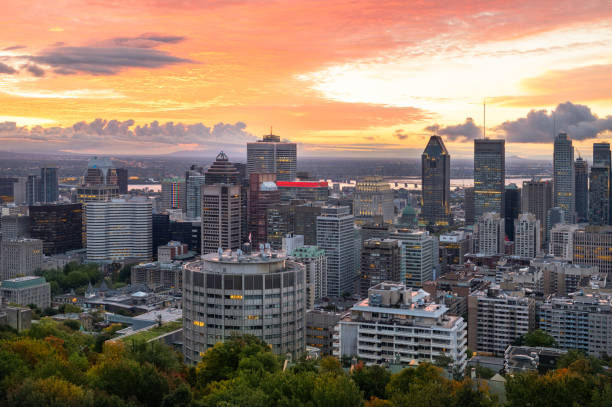 istock Montreal skyline from Mont Royal 1387845805