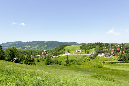 View of the green areas, a few residential buildings and in the distance visible hill called Gubalowka, shows the beauty of through a completely vegetated part of the city of Zakopane. Zakopane, due to its attractive location in the immediate vicinity of the Tatra Mountains is a city that is often and willingly visited by tourists.\