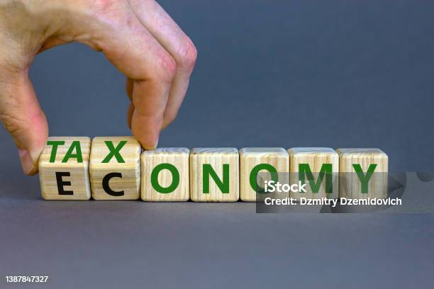 Taxonomy Or Economy Symbol Businessman Turns Cubes Changes The Word Economy To Taxonomy Beautiful Grey Table Grey Background Copy Space Business Ecology And Taxonomy Or Economy Concept Stock Photo - Download Image Now