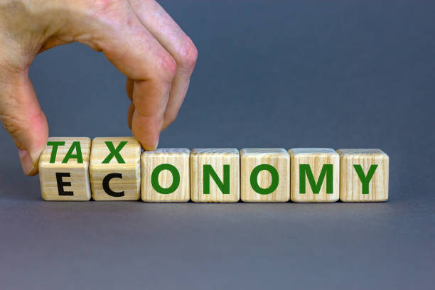 taxonomy or economy symbol. businessman turns cubes, changes the word economy to taxonomy. beautiful grey table, grey background, copy space. business, ecology and taxonomy or economy concept. - kyoto accord fotos imagens e fotografias de stock