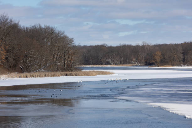 istock River with water fowl after fresh snow 1387847526
