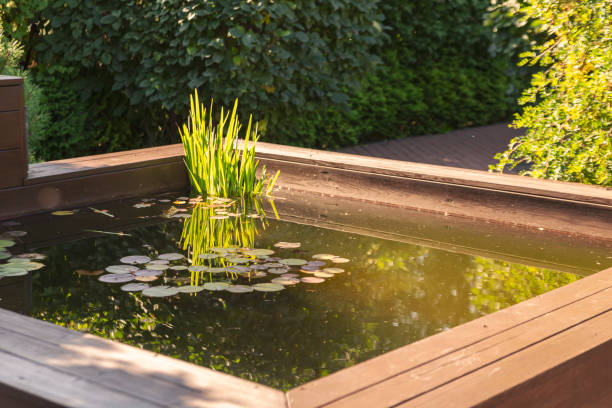 istock Small secluded pond in the park. Landscape architecture. 1387848342