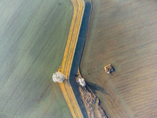 aerial view of the road and frosted trees among germinating fields ploughed in narrow stretches on a frosty morning stock photo