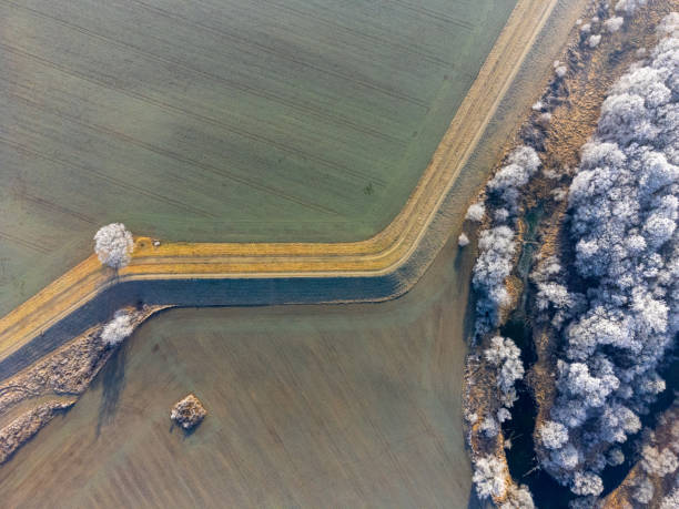 aerial view of the road and frosted trees among germinating fields ploughed in narrow stretches on a frosty morning stock photo