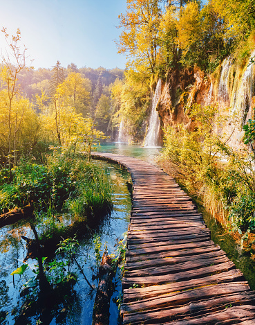 Majestic view on turquoise water and sunny beams. Picturesque and gorgeous scene. Popular tourist attraction. Location famous resort Plitvice Lakes National Park, Croatia, Europe. Beauty world.