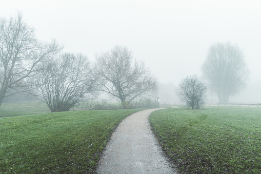 Winter landscape in the fog and footpath, UK
