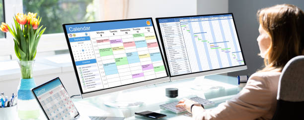 istock Woman Working On Calendar Agenda Schedule 1387866281