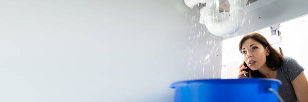 istock Women Doing Emergency Plumber Phone Call In Kitchen 1387867406