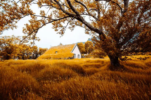 Photo of Amazing view of turf church Hofskirkja. Location place of Iceland, small village Hof, Europe.