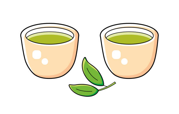 zwei grüne teetassen und teezweig mit blättern - tea cup tea green tea chinese tea stock-grafiken, -clipart, -cartoons und -symbole