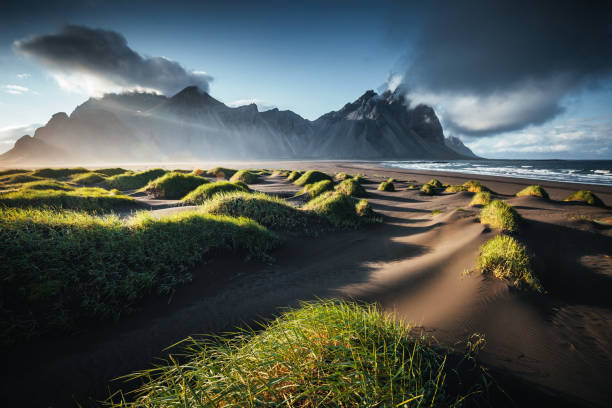 砂丘のある緑の丘のユニークな景色。場所 ストックスネス岬、ヴェストラホルン、アイスランド。 - 壮大な景観 ストックフォトと画像