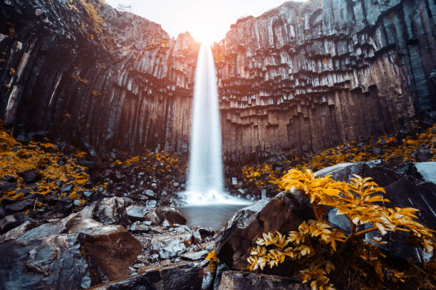 amazing view of svartifoss waterfall. location skaftafell national park, vatnajokull glacier, iceland. - skaftafell national park stockfoto's en -beelden