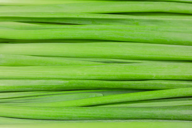 a few blooming chives close up