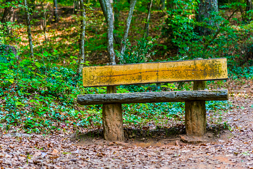 Empty wooden bench facing a lake with wooded shores in autumn. Concept of loneliness. Huntsville, ON, Canada.
