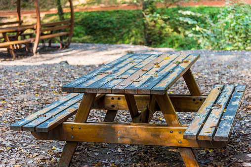 Wooden picnic table and bench in forest at springtime