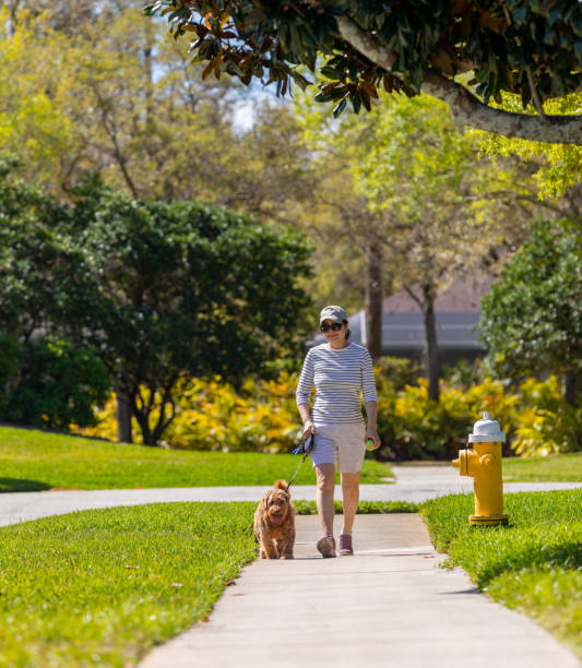 senior woman walking dog