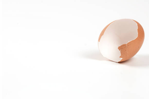 istock Close-Up Of Broken Eggshell Against White Background 1387879268