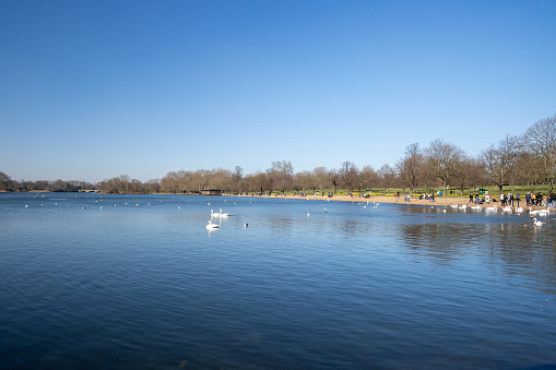 People on the banks of The Serpentine at Hyde Park in City of Westminster, London