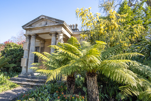 Dicksonia antarctica at Alexandra Gate Lodge on Exhibition Road near Hyde Park, London. This was built in 1868, thought to be on the designs of CJ Richardson. It is looked after by Royal Palaces.