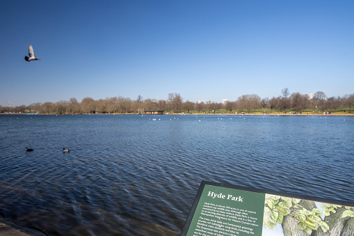 Hyde Park Sign at The Serpentine in City of Westminster, London. An illustration is visible.