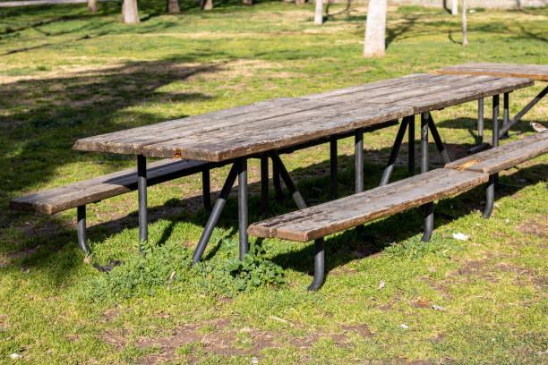istock Wooden camping table in a park 1387884382