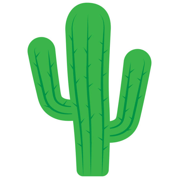 Cartoon Cactus () Cartoon Cactus
