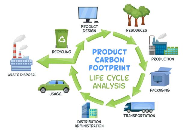 illustrazioni stock, clip art, cartoni animati e icone di tendenza di impronta di carbonio del prodotto. analisi del ciclo di vita. illustrtion vettoriale - footprint carbon environment global warming