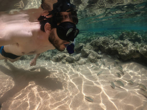 snorkeling dell'uomo con pesci a lion beach, fernando de noronha, brasile - leao foto e immagini stock