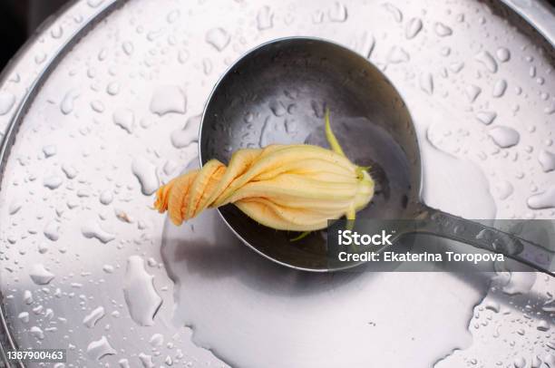 Twisted Spiral Zucchini Flower In A Steel Fin Abstract Close Foreshortening Minimalisme Stock Photo - Download Image Now