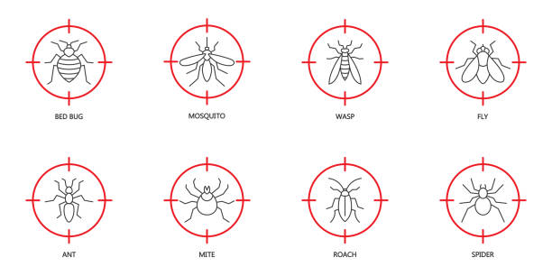 Stop insect icon set. Pest Control icons set on red target. Insects at gunpoint. Bed bug, mosquito, wasp, fly, ant, mite, roach, and spider symbols. Vector illustration. Stop insect icon set. Pest Control icons set on red target. Insects at gunpoint. Bed bug, mosquito, wasp, fly, ant, mite, roach, and spider symbols. Flat vector illustration. pest control logos silhouette stock illustrations