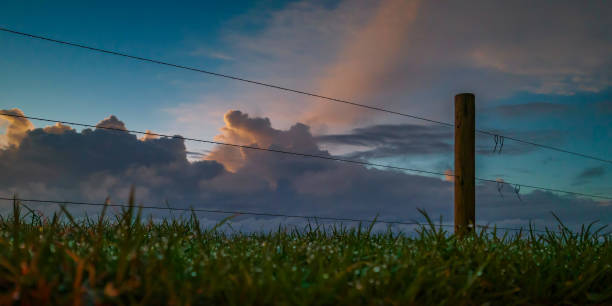 Ground level with grass, fence, sky at Killcare Beach on the Central Coast, NSW, Australia.