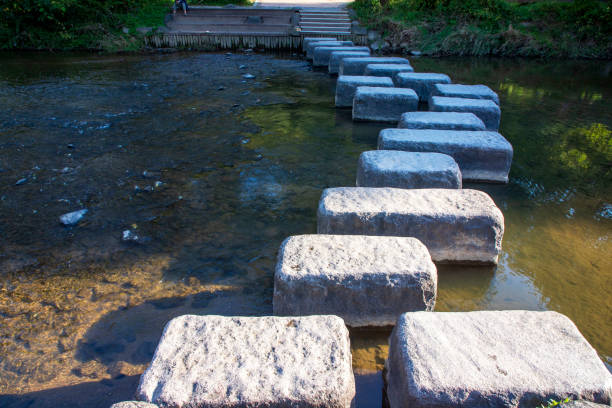 Yangjaecheon's stepping stone bridge