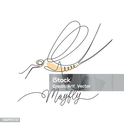 istock Single line drawing of a mayfly, isolated on a white background. vector illustration. 1387911727