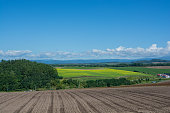 rapsfeld-breitet-sich-im-hochland-aus.jpg?b=1&s=170x170&k=20&c=VpKN7SI-QhHn8DhNKbC_hhgvrGsirBcxEPVze72Y-U4=