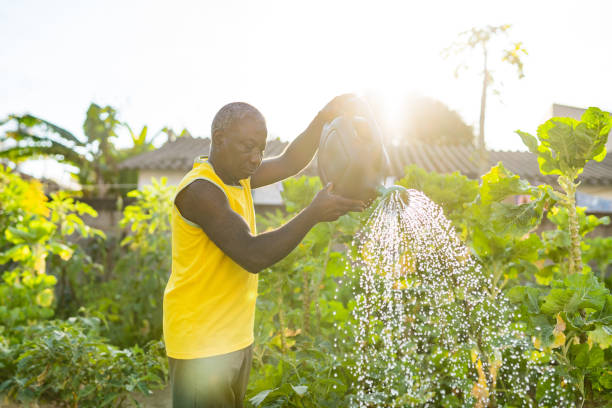 Man watering his organic vegetable garden