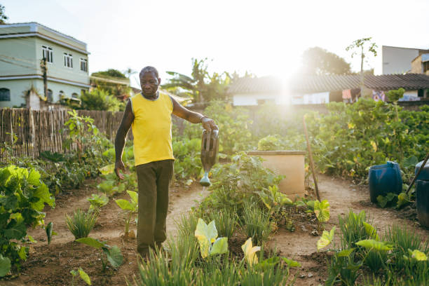 istock Farmer watering his small backyard vegetable garden 1387915846
