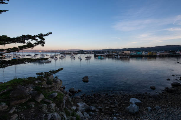 Boats in the Monterey Bay Marina.