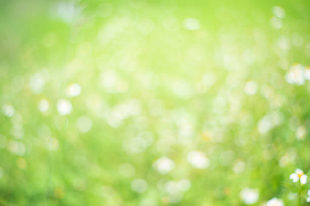 istock Green abstract backgrounds, characteristics of the light strikes the surface, causing noise and grain texture 1387929374