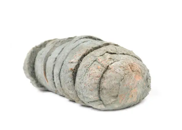 Loaf of bread covered with fuzzy green, blue or greyish mold fungus spores or mildew. Concept for spoiled food, rotten bread or food safety. White background.
