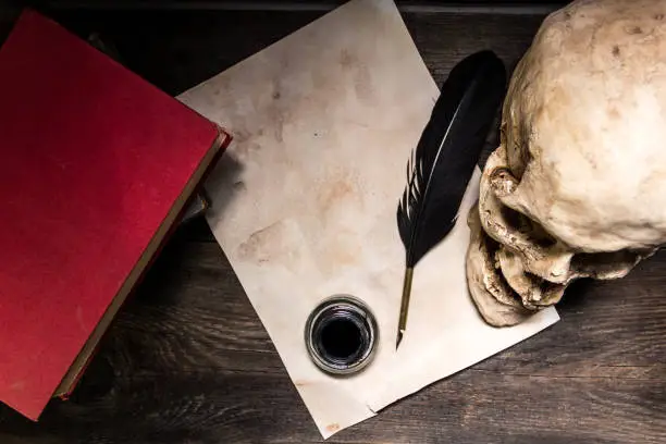 Books, human skull, pen and paper on rustic wood. Literature, writing and language concept