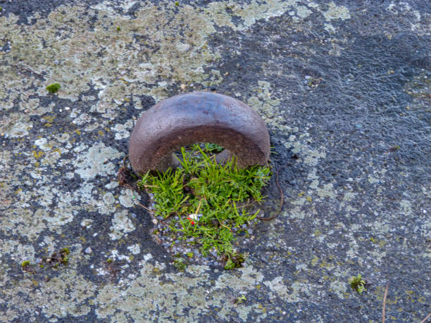 Detail from mooring equipment on the river shore