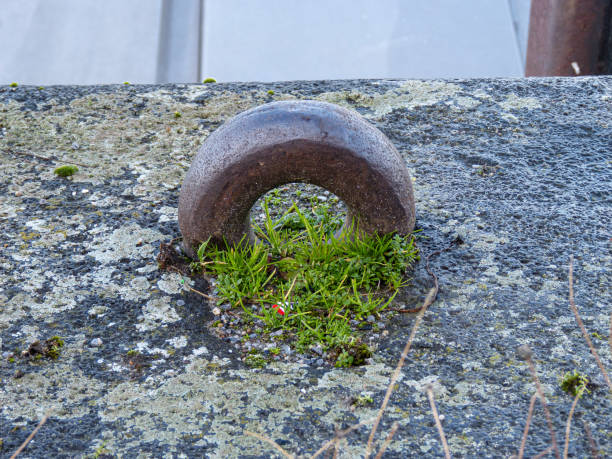 Close-up on a metal ring pull on a wooden gate