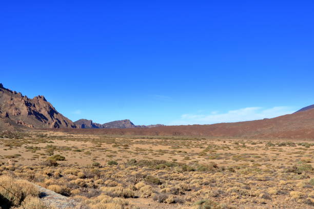 istock Teide National Park on Tenerife, with lava fields and the Teide volcano 1387941269