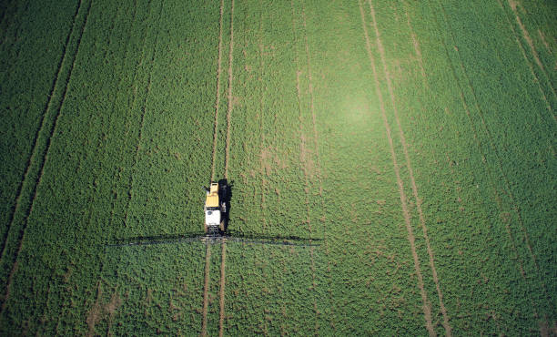 istock Use pesticides on farm field theme 1387942789