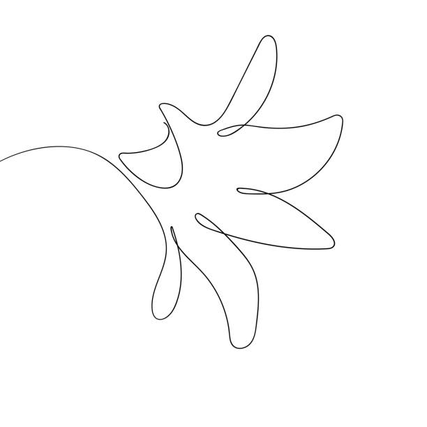 Ilustración de Línea De Arte De Silueta Floral Flores En Estilo De Dibujo De Línea Continua Borde Con Flor Tropical Boceto Lineal Negro Minimalista Ilustración Vectorial De Moda Aislada Gráficos De Contorno Ilustración de Línea De Arte De Silueta Floral Flores En Estilo De Dibujo De Línea Continua Borde Con Flor Tropical Boceto Lineal Negro Minimalista Ilustración Vectorial De Moda Aislada Gráficos De Contorno