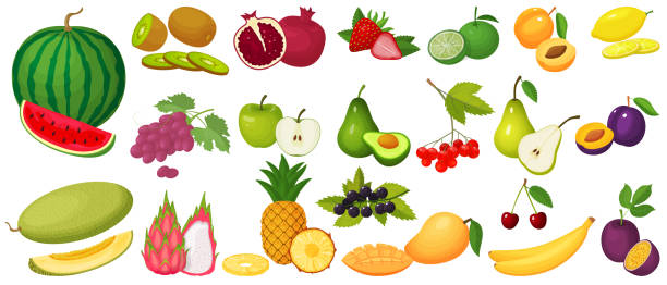 ilustraciones, imágenes clip art, dibujos animados e iconos de stock de un conjunto de frutas - plum grape fruit clip art