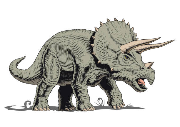 illustrazioni stock, clip art, cartoni animati e icone di tendenza di triceraptops dinosauro isolato, illustrazione vettoriale in stile fumetto - stegosauro