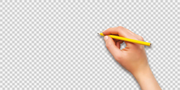ilustrações de stock, clip art, desenhos animados e ícones de female hand writing with a pencil on transparent background, realistic effect, vector illustration - human hand pencil women sketching